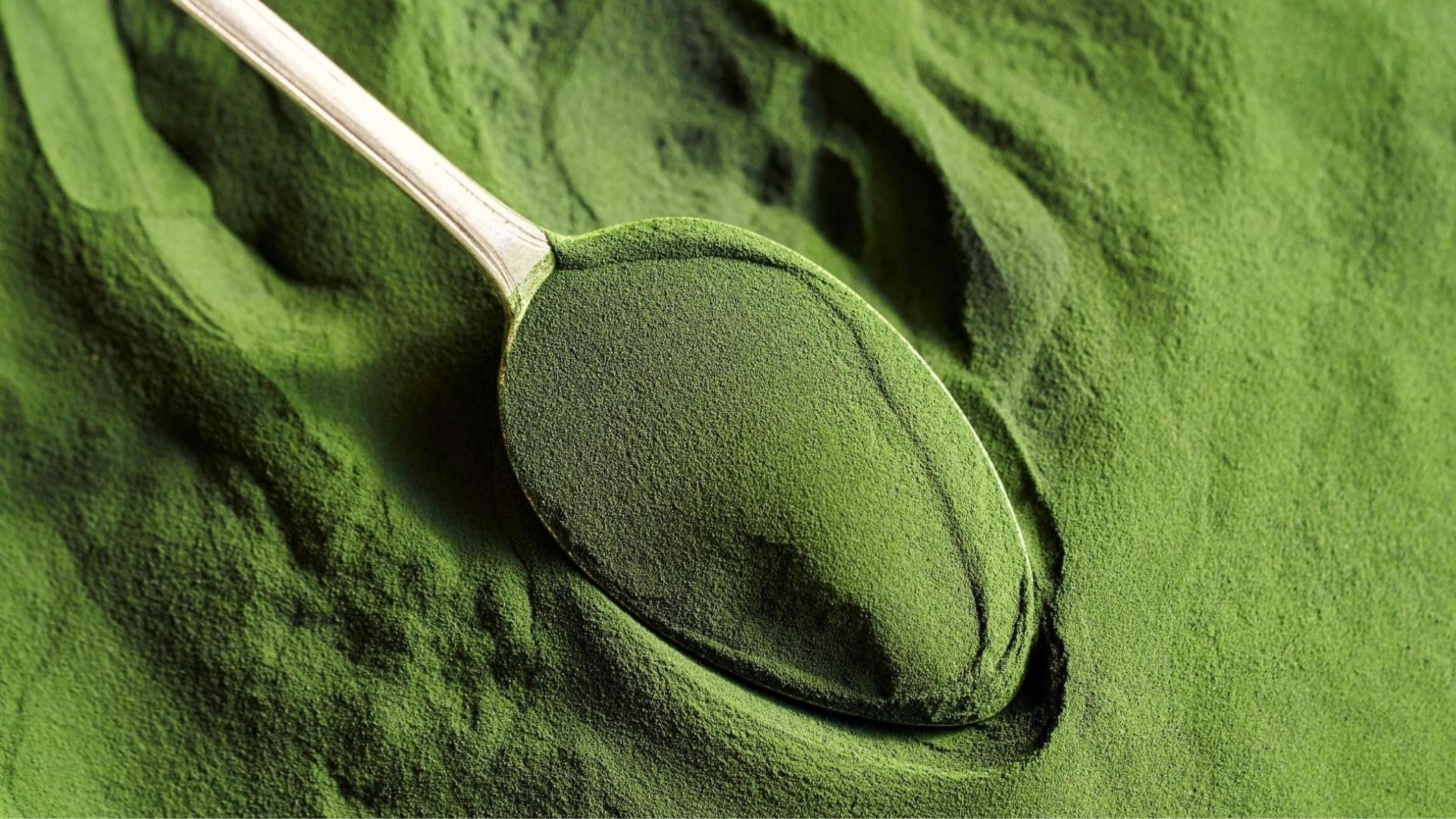 Chlorella